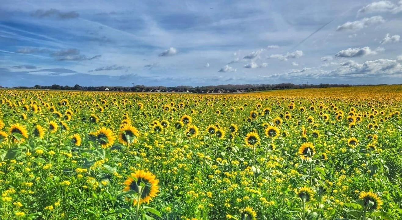 Hoeve Hofgaarde Heers Zewnętrze zdjęcie