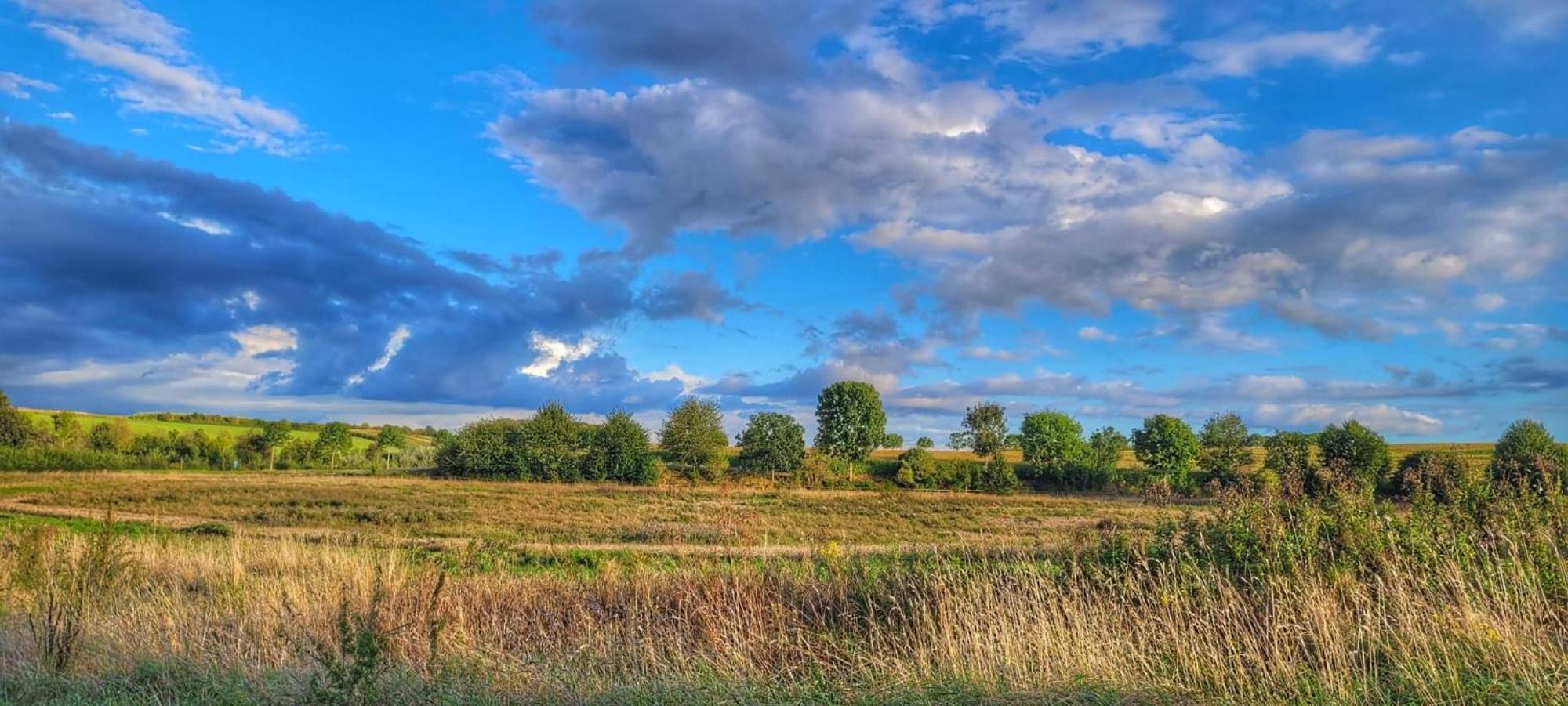 Hoeve Hofgaarde Heers Zewnętrze zdjęcie
